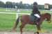 Jezdecký den 2008 045.jpg